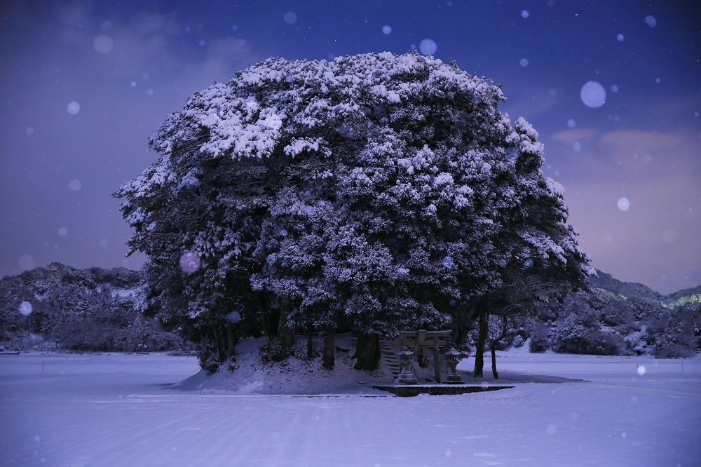 一个下着雪的夜，一幢孤单而温馨的小木屋，许多童话发生在这里