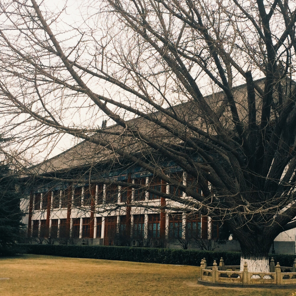 北京大学