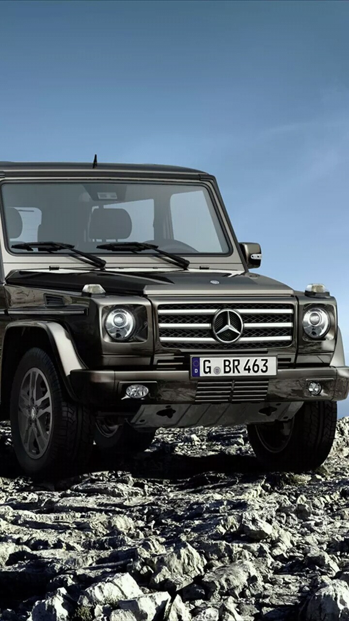 梅赛德斯奔驰，G class BA3 final Edition2011