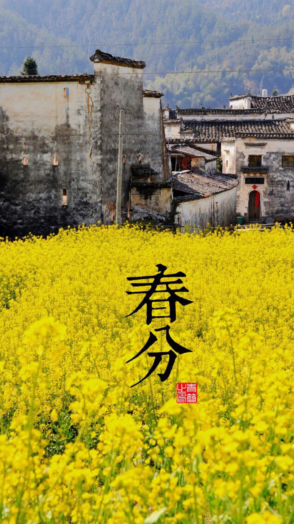 #节日节气#苹果6高清壁纸，iPhone 6 plus高清壁纸，不是高清我不发，更多同系列关注我主页，24节气，风景