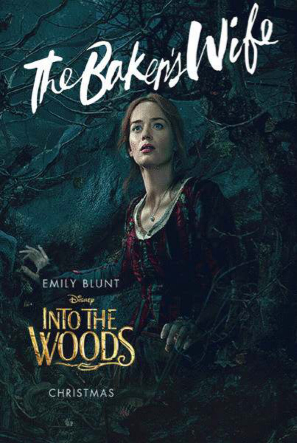 《魔法黑森林》（Into the Woods）是迪士尼电影公司出品的一部奇幻歌舞电影，由罗伯·马歇尔导演，梅丽尔·斯特里普、安娜·肯德里克、艾米莉·布朗特和克里斯·派恩主演，2014年12月25日在美国上映。 影片根据百老汇舞台剧改编，汇集了格林童话中“灰姑娘”、“小红帽”、“长发公主”、“杰克与豆茎”四个脍炙人口的故事与角色，并套上讽刺剧的面纱而组成一个“成人童话故事”。