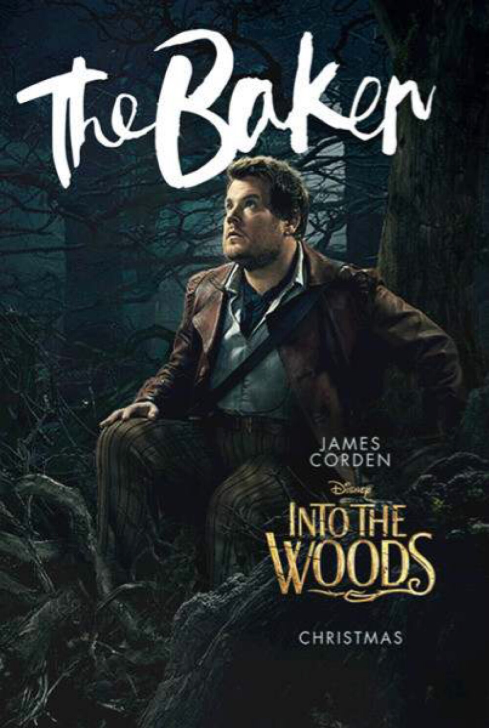 《魔法黑森林》（Into the Woods）是迪士尼电影公司出品的一部奇幻歌舞电影，由罗伯·马歇尔导演，梅丽尔·斯特里普、安娜·肯德里克、艾米莉·布朗特和克里斯·派恩主演，2014年12月25日在美国上映。 影片根据百老汇舞台剧改编，汇集了格林童话中“灰姑娘”、“小红帽”、“长发公主”、“杰克与豆茎”四个脍炙人口的故事与角色，并套上讽刺剧的面纱而组成一个“成人童话故事”。