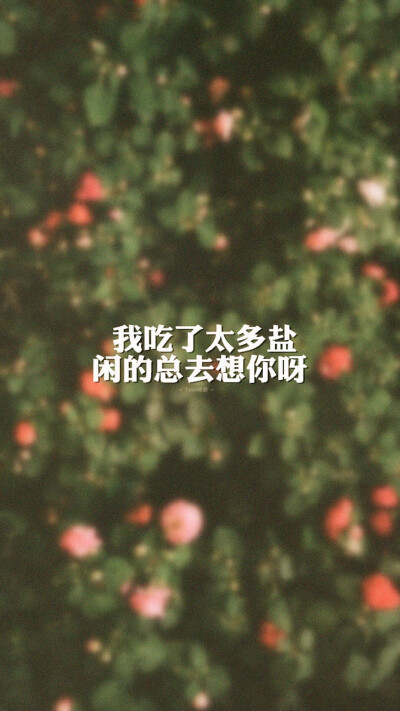 壁纸 by苏西