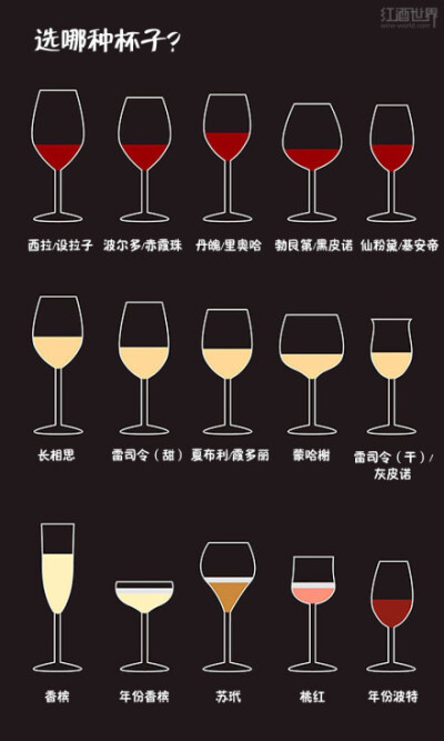葡萄酒的知识