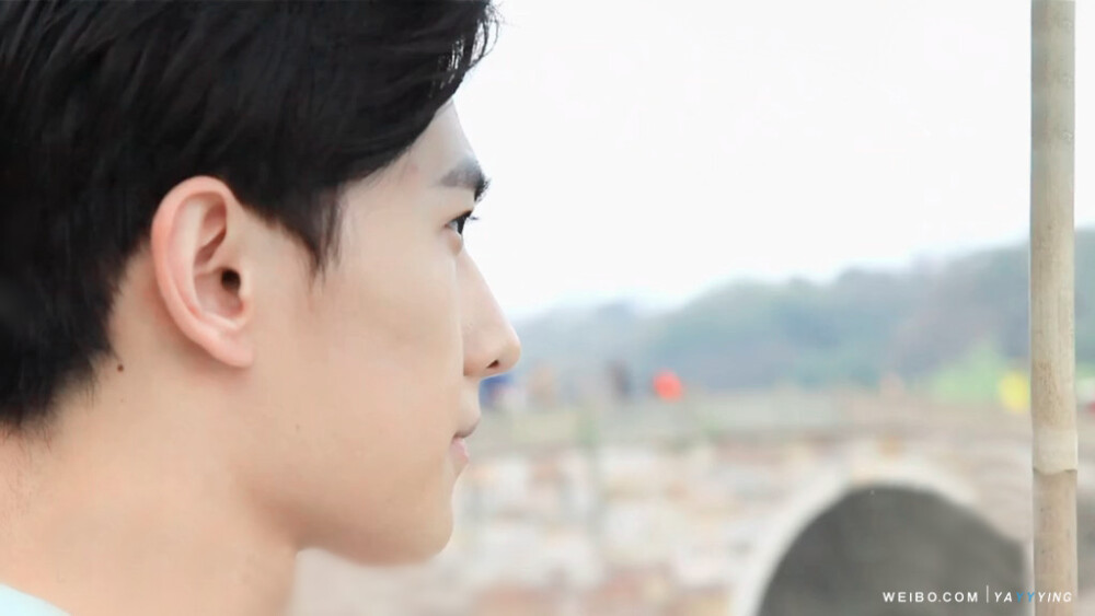 杨洋 明星美食地图