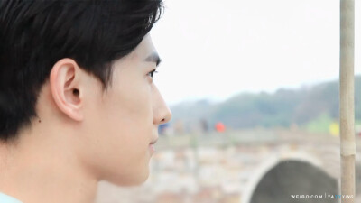 杨洋 明星美食地图