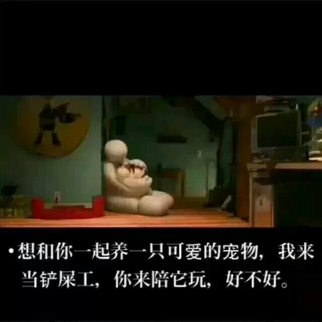 我爱的，，大白