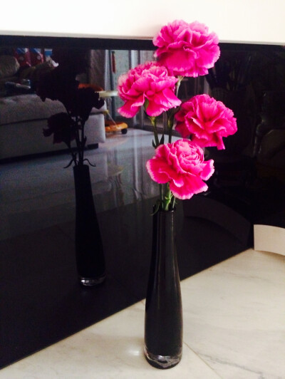 昨晚新买的花瓶。插上康乃馨怎么看都好美！