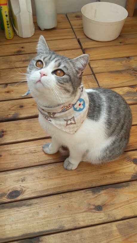 关注2015年4月18日 8:43德布罗意喵嗷