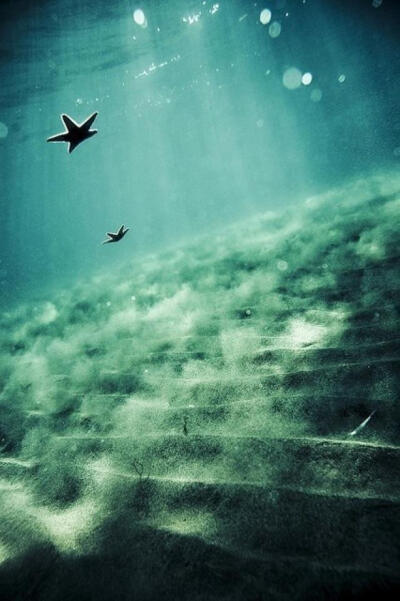 海底 摄影