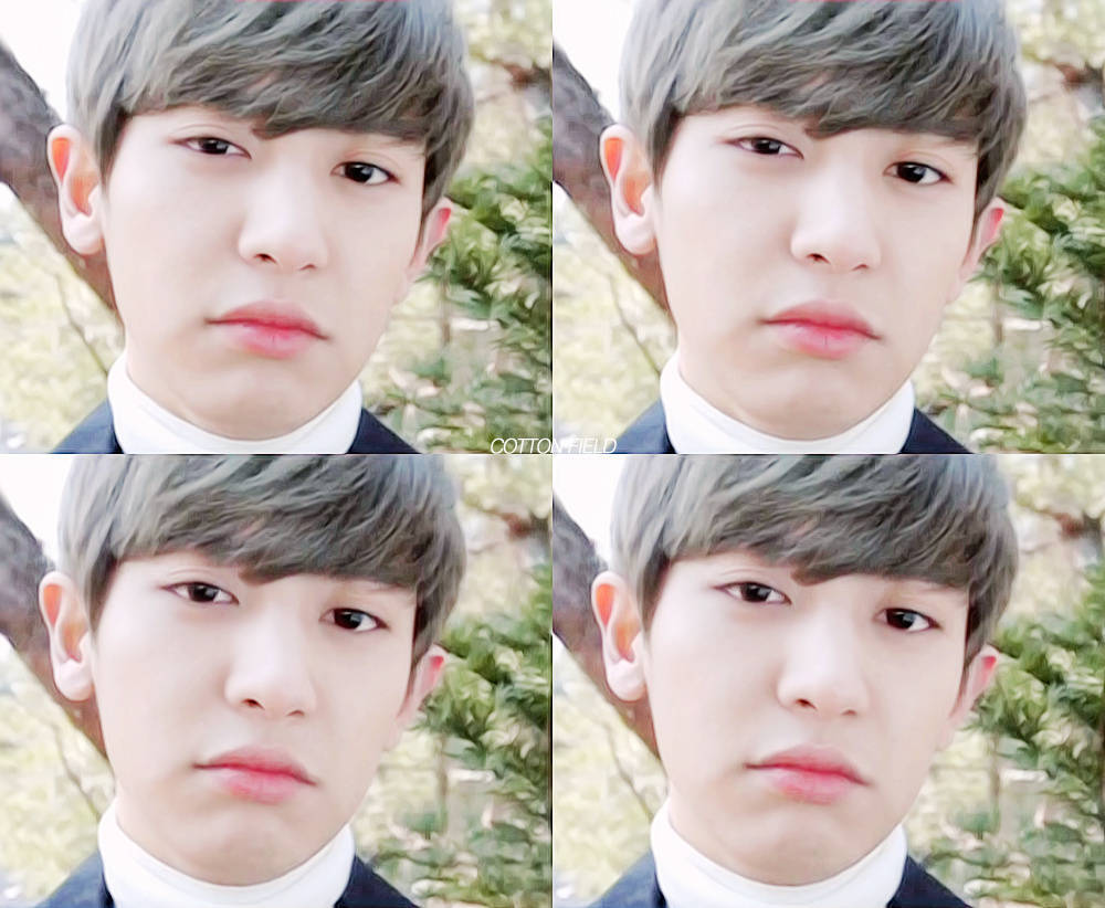 独自恋爱中朴灿烈