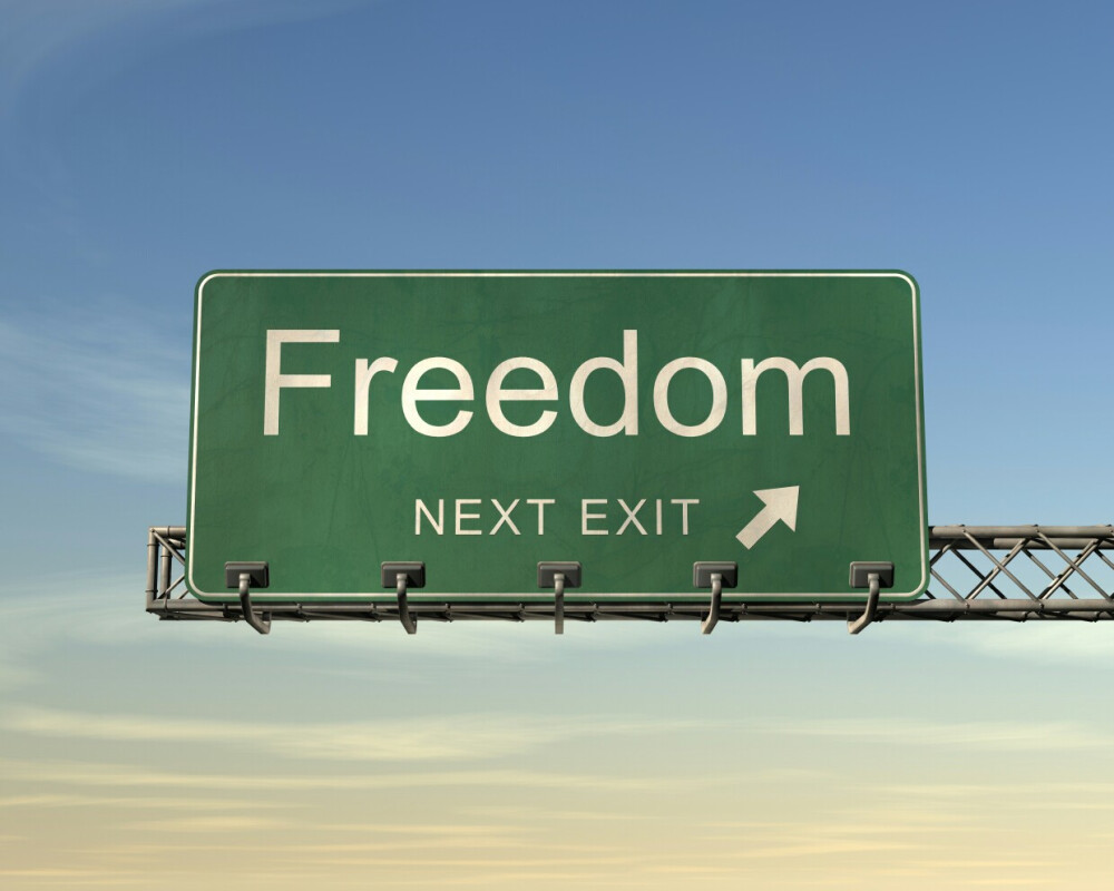Freedom - 高清图片，堆糖，美图壁纸兴趣社区