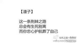 给潘子的三行情书