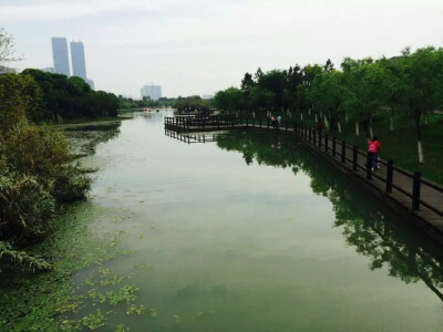 江西师范大学