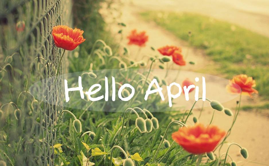 hello April#圖侵刪#