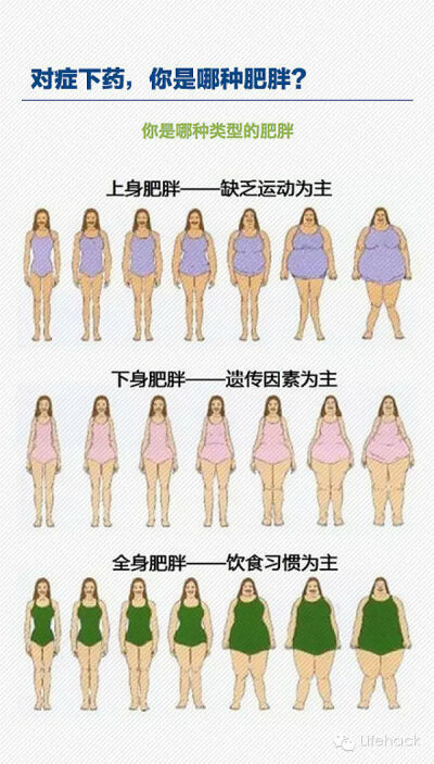 lose weight