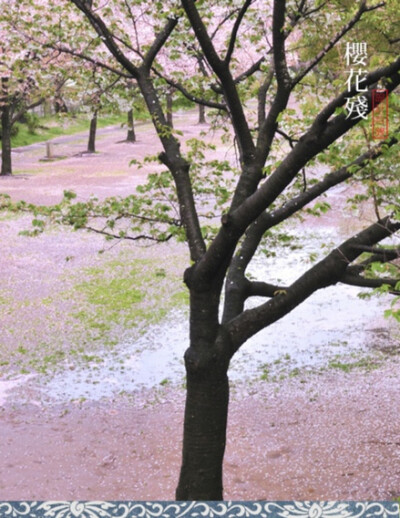 《七言诗》 不风不雨正晴和，翠竹亭亭好节柯。最爱晚凉佳客至，一壶新茗泡松萝。几枝新叶萧萧竹，数笔横皴淡淡山。正好清明连谷雨，一杯香茗坐其间。 清 郑板桥