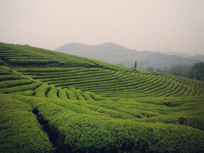 风景就在离家不远处。