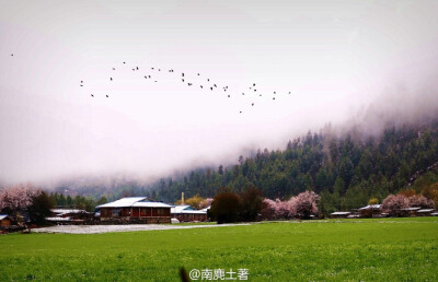 仙境一样的地方
