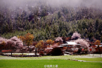 仙境一样的地方