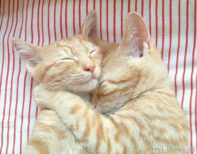 双胞胎兄弟，好有爱