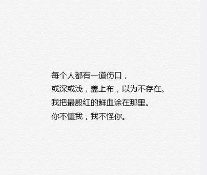 你不懂我，我不怪你。