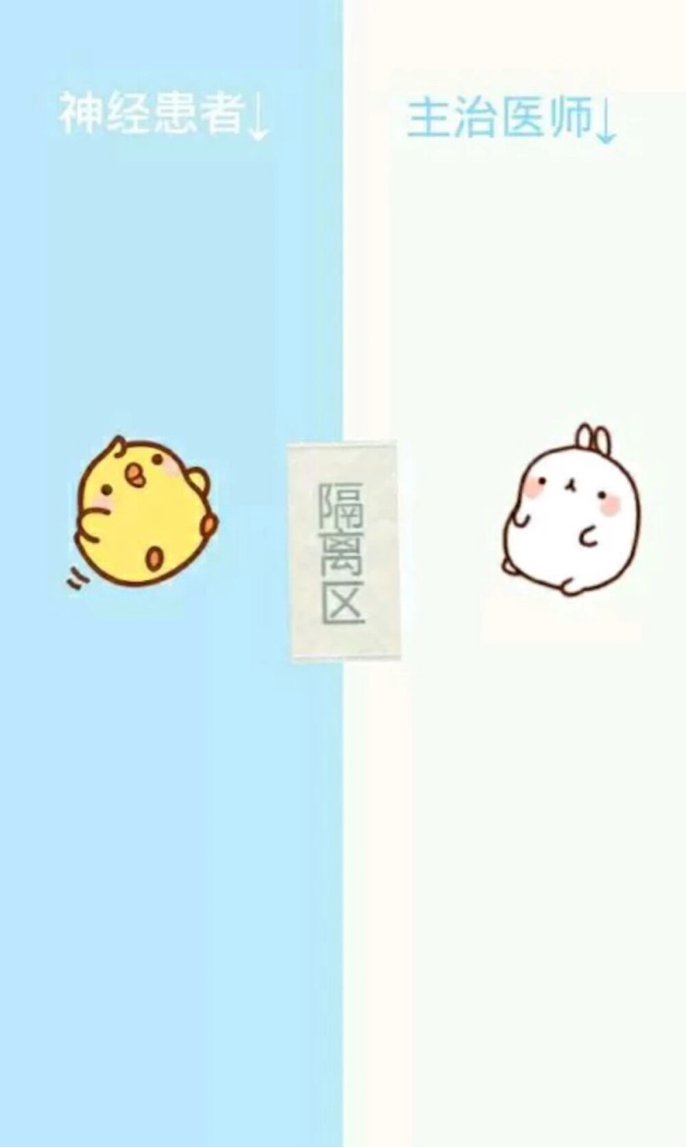 分割线聊天背景