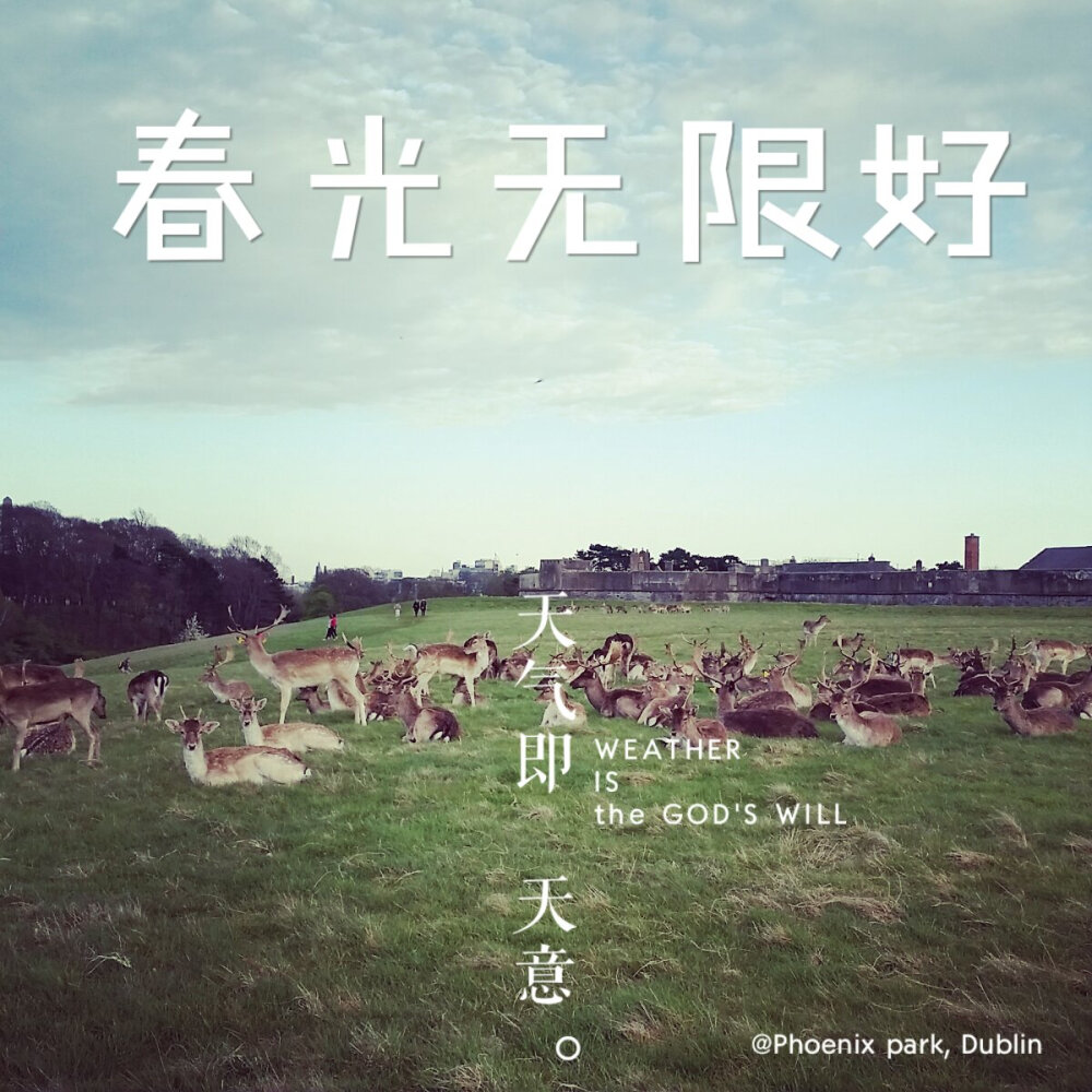 在都柏林。Phoenix park，04.2015 by Rui