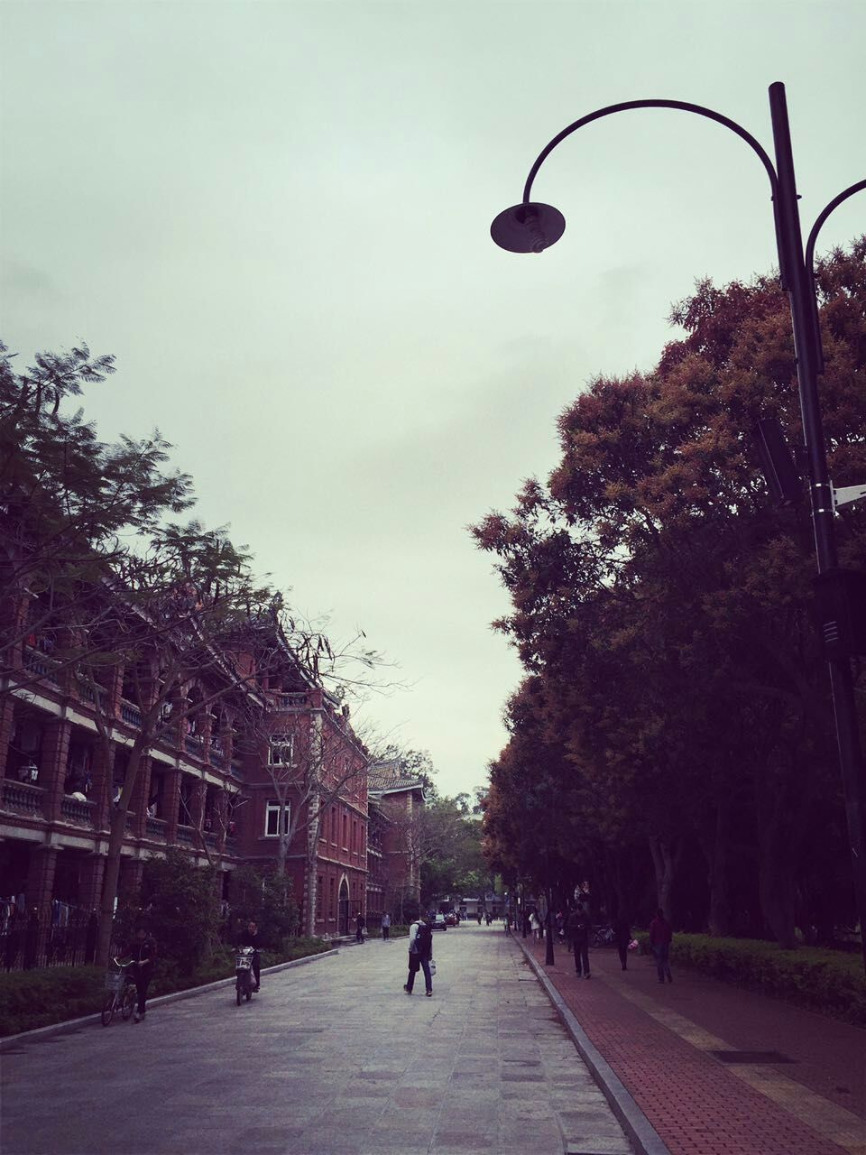 厦门大学