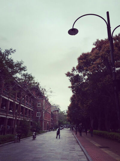 厦门大学