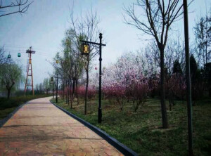 春天到了。。。