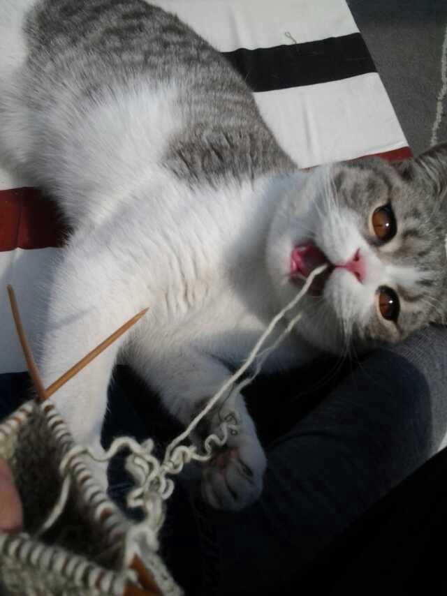 关注2015年4月21日 21:36德布罗意喵嗷