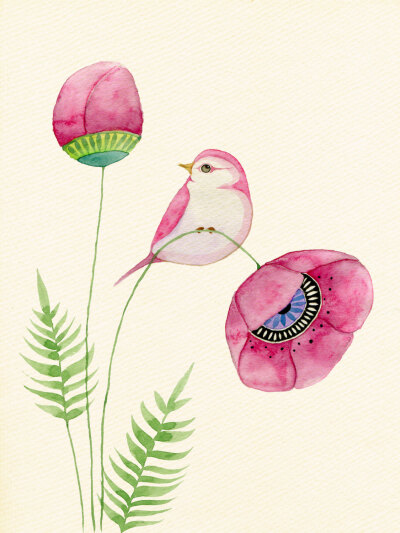 “鸟与花”水彩画--英国 插画师 Colleen Parker