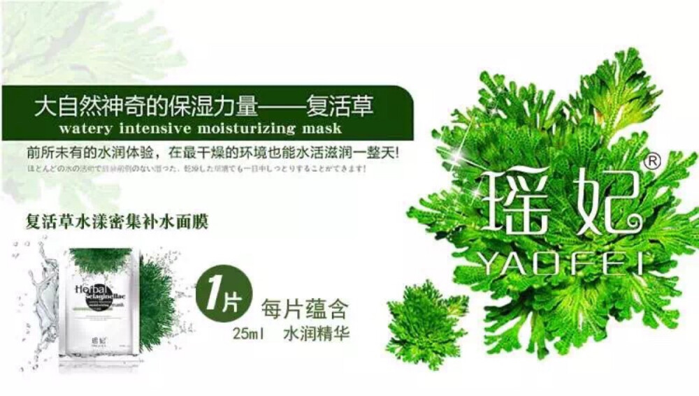 【瑶妃•复活草密集补水面膜】 复活草储水神力 为肌肤带来及时雨