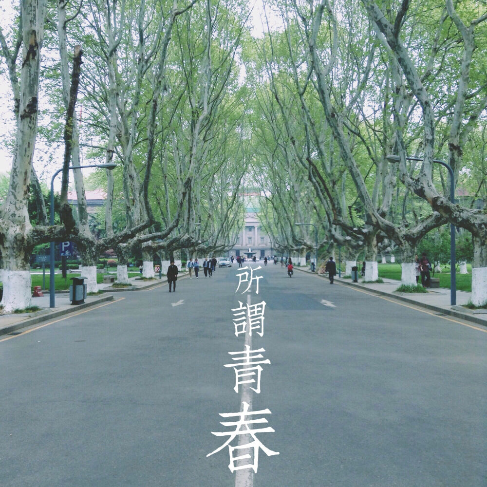 东南大学