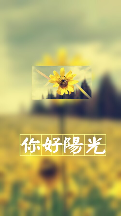 你好阳光一封情书