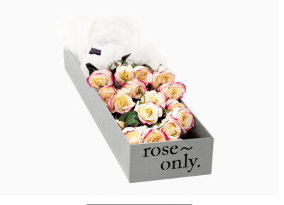 roseonly、roseonly一生只送一人、roseonly爱唯一、roseonly真爱唯一 roseonly官网、roseonly主页、roseonly多少钱、roseonly地址