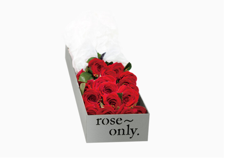 roseonly、roseonly一生只送一人、roseonly爱唯一、roseonly真爱唯一 roseonly官网、roseonly主页、roseonly多少钱、roseonly地址