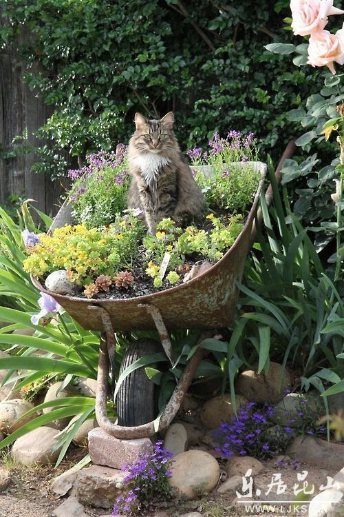 猫 喵星人 植物 花盆