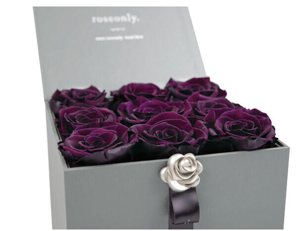 roseonly、roseonly一生只送一人、roseonly爱唯一、roseonly真爱唯一 roseonly官网、roseonly主页、roseonly多少钱、roseonly地址