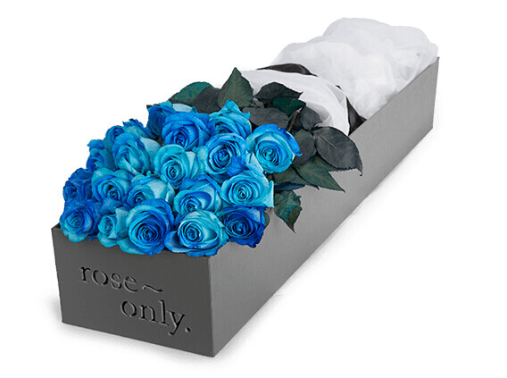 roseonly、roseonly一生只送一人、roseonly爱唯一、roseonly真爱唯一 roseonly官网、roseonly主页、roseonly多少钱、roseonly地址