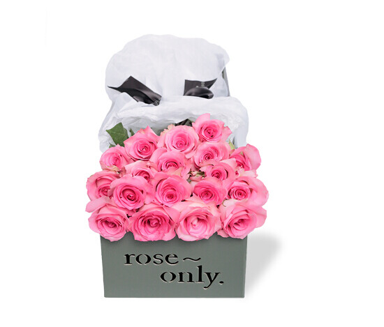 roseonly、roseonly一生只送一人、roseonly爱唯一、roseonly真爱唯一 roseonly官网、roseonly主页、roseonly多少钱、roseonly地址