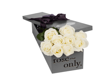 roseonly、roseonly一生只送一人、roseonly爱唯一、roseonly真爱唯一 roseonly官网、roseonly主页、roseonly多少钱、roseonly地址