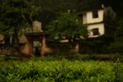 雨天婺源