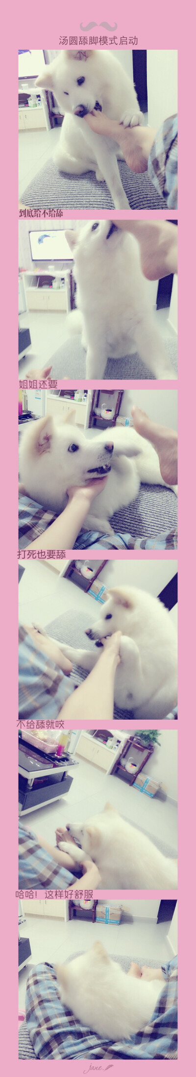 调皮的高富帅汤圆