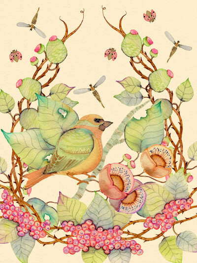 “鸟与花”水彩画--英国 插画师 Colleen Parker