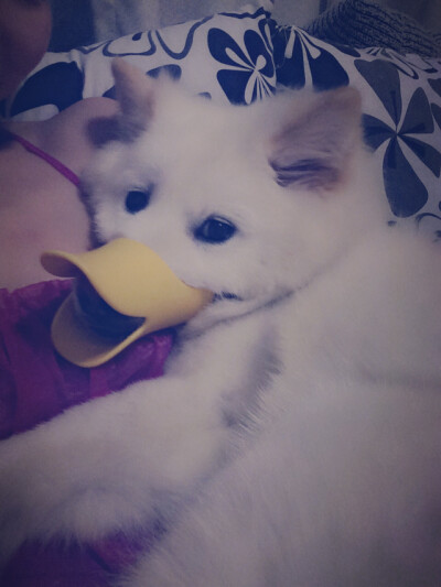 姐姐说我吵到隔壁的邻居了