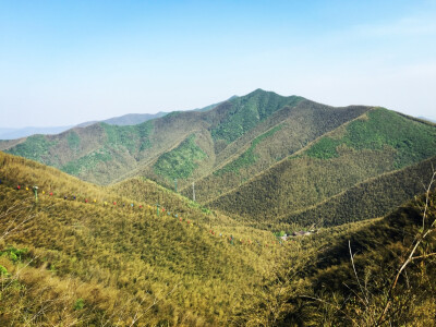 南山竹海