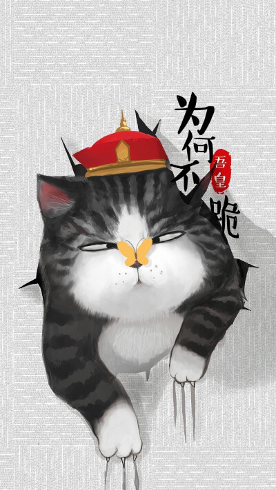 吾皇万岁壁纸 呆萌贱猫猫 #萌物