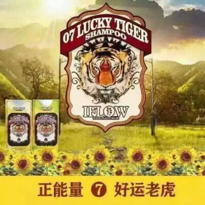 今天7号好运老虎出货知道为什么好运老虎排在7号吗？来来，给大家讲个故事 1895年，老虎机与旧金山淘金热潮一起出现，这部“让人可一夜致富的神奇机器”瞬间风靡欧美。拉动手柄后，如果卷轴旋转出三个“7”，就…